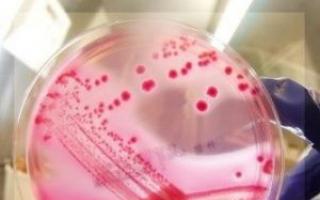 Cystitis and E. coli Treatment of cystitis caused by E. coli